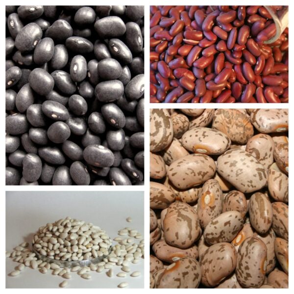 Beans