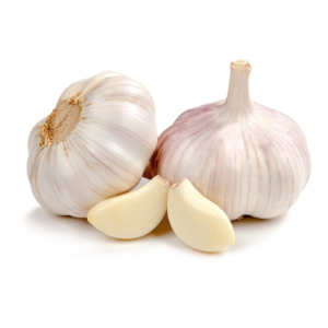 White Garlic Fresh