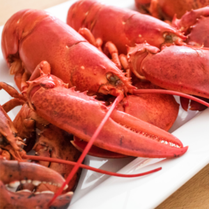 Live Lobster