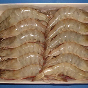 Vannamei Lobster