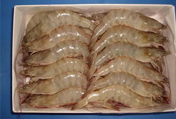Vannamei Lobster